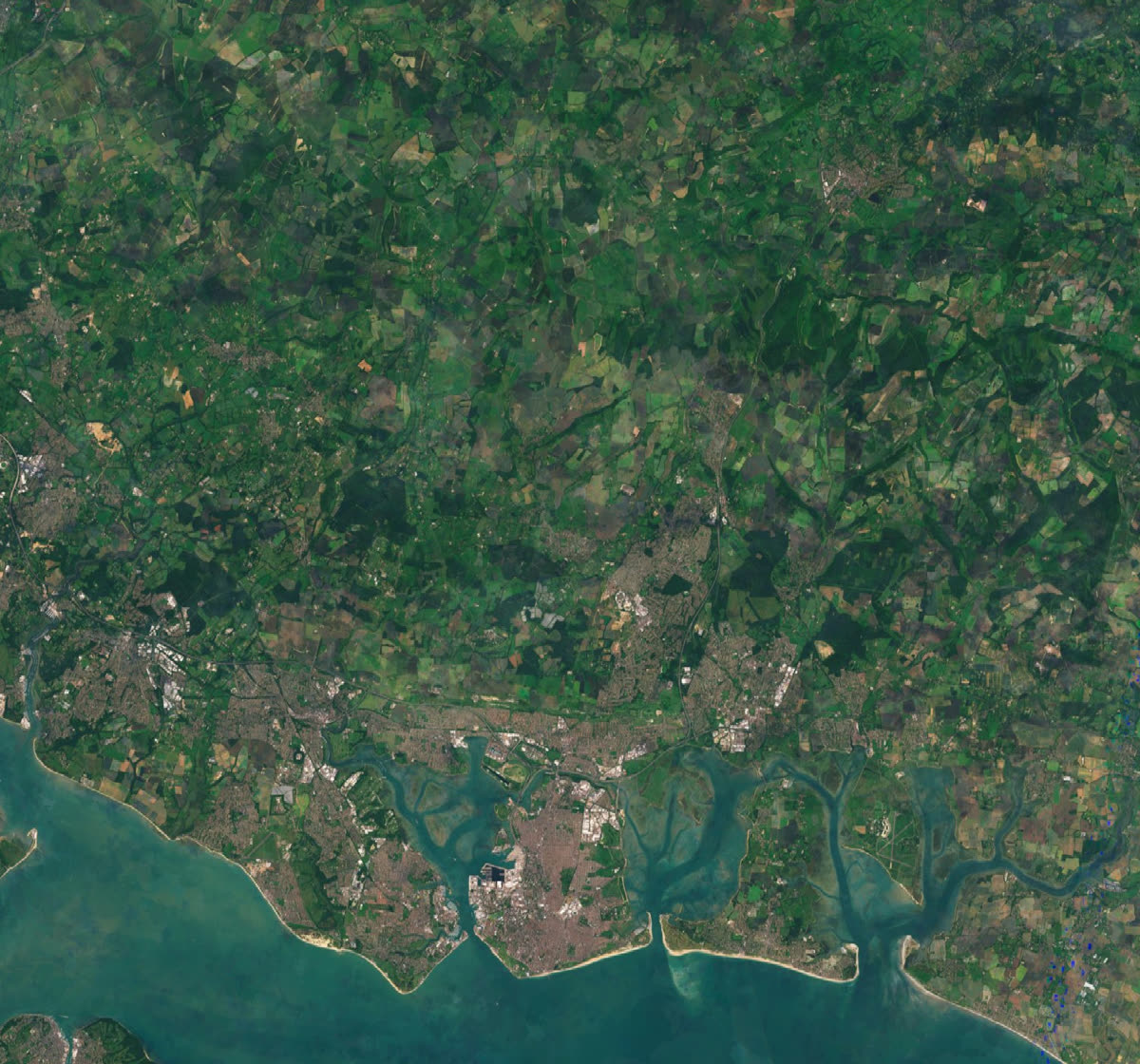 Satellite view of the area around Denmead, from Petersfield in the north down to Portsmouth, Gosport and the Solent, with rings marking five and ten miles from Denmead